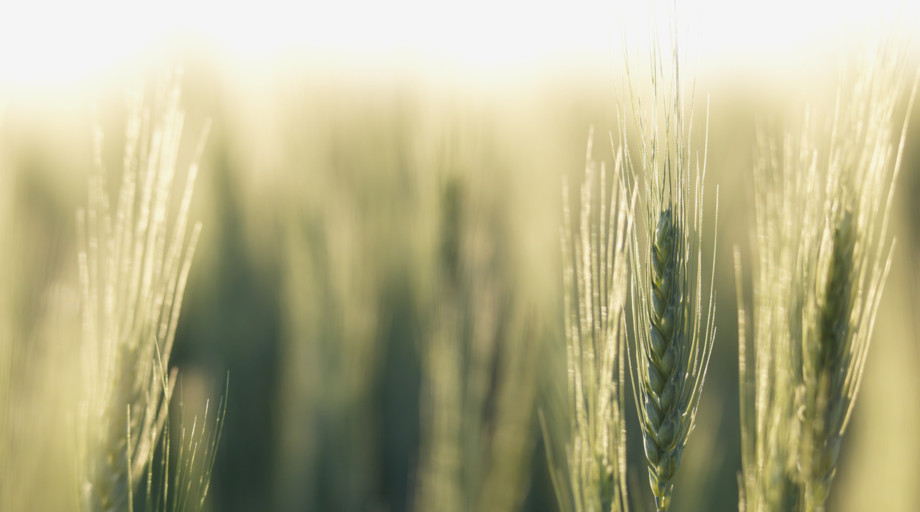 Harvest the value of technology